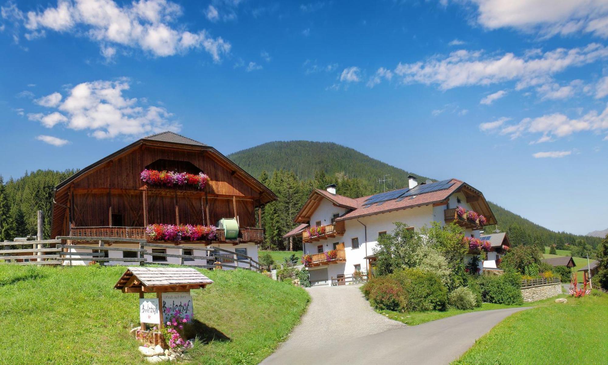 Planca di Sopra Binterhof 빌라 외부 사진
