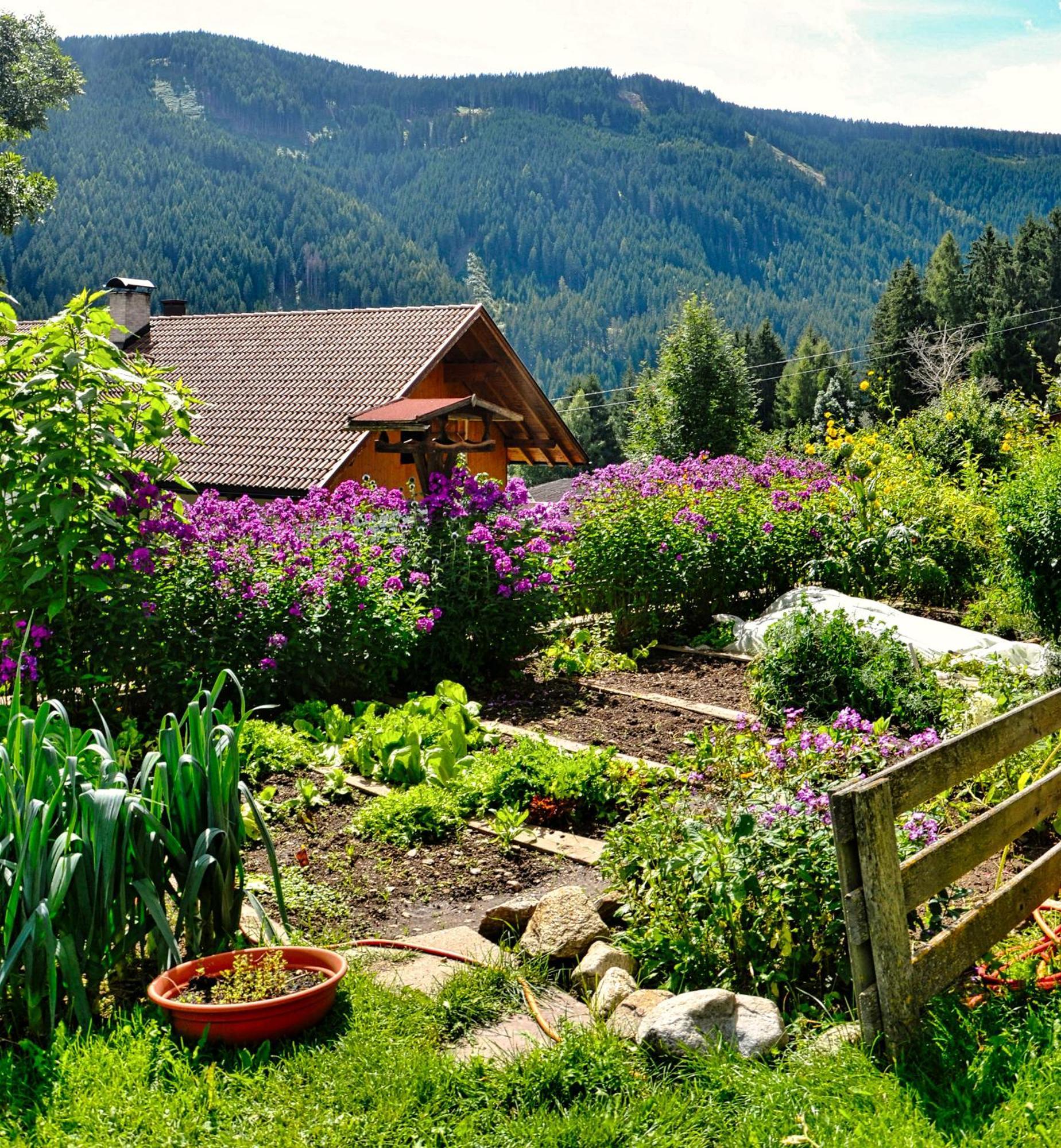Planca di Sopra Binterhof 빌라 외부 사진